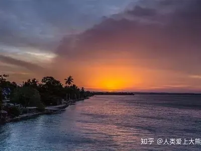 雨燕足球直播高清免费_雨燕足球直播高清免费体育直播频道直播观看_雨燕足球直播高清免费在线免费观看体育直播赛事